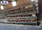 গ্যালভানাইজড ব্যাটারি এইচ প্রকারের স্তর চিকেন খাঁচা 10000 পাখি পোল্ট্রি ফার্ম ব্যবহার