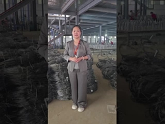 অদৃশ্য তারের জাল কর্মশালা শো