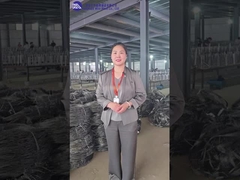 অস্পষ্ট তারের বাধা MZP কর্মশালার ভূমিকা এবং প্রদর্শন