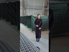 প্রতিরক্ষামূলক বাধা মডেল 10 - কাছাকাছি ব্যাখ্যা