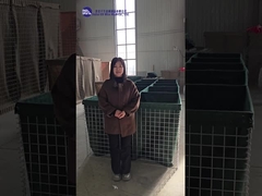 প্রতিরক্ষামূলক বাধা প্রদর্শন এবং ব্যাখ্যা বিভিন্ন মডেল