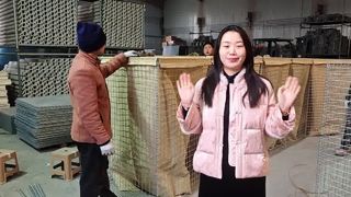 গ্যালভানাইজড ওয়েল্ডেড ব্যারিয়ারস বেস্টন ব্যারিয়ারস বালি ফ্লাড ওয়াল