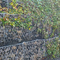 গ্যালভানাইজড 2mx1mx0.5m স্ট্যাকিং গ্যাবিয়ন ঝুড়ি হেক্সাগোনাল লোহার তারের জাল