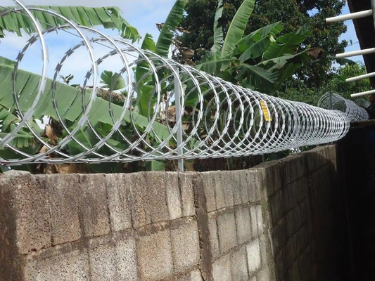 ২০২৪ KN বেড়া রক্ষণাবেক্ষণ রেজার বার্বড ওয়্যার মেশ ২.৫ মিমি কেনিয়া দক্ষিণ আফ্রিকা জিম্বাবুয়ে