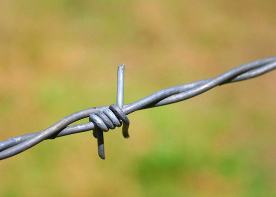কারাগারের দেয়ালের ব্যবহার একক স্ট্র্যান্ড স্টেইনলেস স্টীল কাঁটাতারের দাম প্রতি রোল
