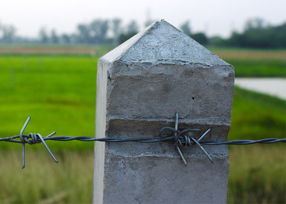 ফার্ম সুরক্ষা 50 কেজি ডাবল স্ট্র্যান্ড বিপরীত টুইস্ট ইলেক্ট্রো বার্বড ওয়্যার রোল