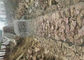 টেন্ডার প্রকল্পের জন্য গ্যালভানাইজড + পিভিসি লেপযুক্ত গ্যাবিয়ানস বোনা তারের জাল বক্স রক্ষণাবেক্ষণ প্রাচীর