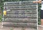 বালির কাপের সাথে কম কার্বন ইস্পাত তারের একটি প্রকারের জাল লেয়ার কোয়েল পাখির খাঁচা