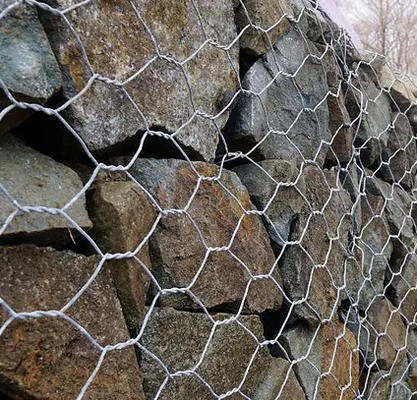 Shuxin গরম গ্যালভানাইজড 60 * 80mm গর্ত 2.7mm ওয়্যার জাল Gabion বন্যা নিয়ন্ত্রণের জন্য বাস্কেট
