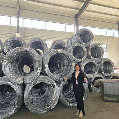 নিরাপদ বেড়ার জন্য উচ্চ ঘনত্বের ফ্ল্যাট টাইপ সিঙ্গেল রেজার কনসারটিনা রেজার তার