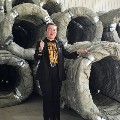 অহংকার কনসার্টিনা তারের বেড়া রেজার কাঁটাতের সমালোচনামূলক সাইটগুলির জন্য তীক্ষ্ণ সুরক্ষা