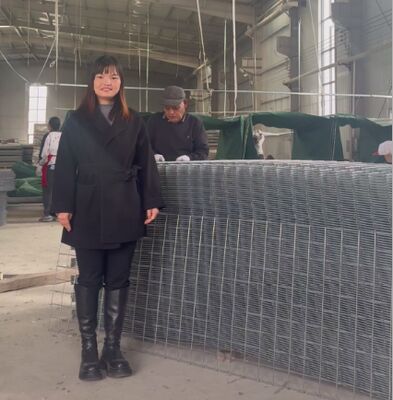 SX10 বালি ফিল্ড HESCO প্রতিরক্ষামূলক বাঁধ Geotextile সঙ্গে সামরিক Gabion বাঁধ HESCO বাঁধ দাম