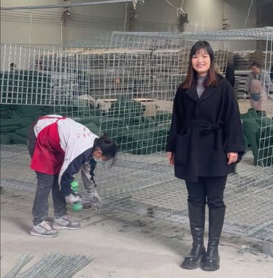 মিল 1 আর্মি ডিফেন্সিভ ব্যারিয়ার ওয়াল প্রোটেকশন গ্যালভানাইজড লেপযুক্ত জিওটেক্সটাইল হিস্কো ব্যারিয়ার দাম