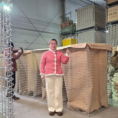 মিল 1 প্রতিরক্ষামূলক বাধা হেস্কো বাধা গ্যালভানাইজড ওয়েল্ডেড জাল প্রিফ্যাব্রিকেটেড বন্যা নিয়ন্ত্রণ সামরিক দুর্গ সহজ সমাবেশ